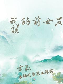 我的前女友们小说