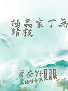 极品家丁无删减精校
