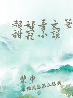 超好看文笔好的甜宠小说