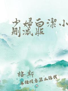 少妇白洁小说无删减版