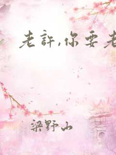老许,你要老婆