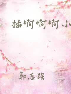 插啊啊啊小说