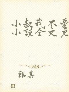 小叔我不爱你了小说全文免费阅读