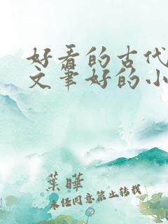 好看的古代言情文笔好的小说