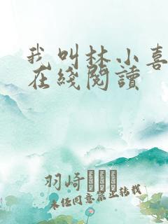 我叫林小喜小说在线阅读