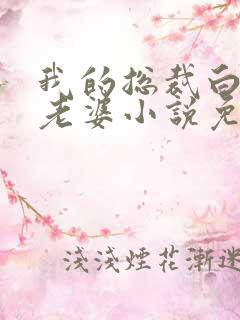 我的总裁白富美老婆小说免费读