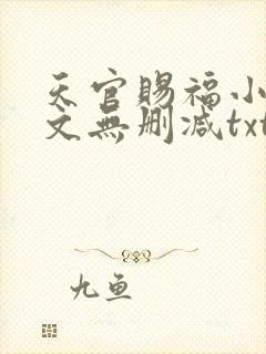天官赐福小说全文无删减txt下载