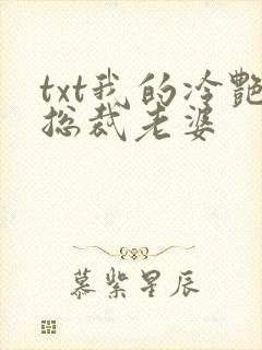 txt我的冷艳总裁老婆