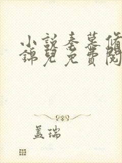 小说秦慕修和赵锦儿免费阅读