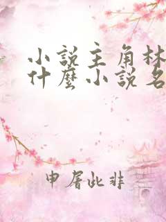 小说主角林羽是什么小说名