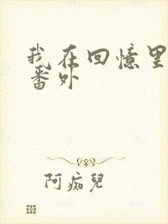 我在回忆里等你番外