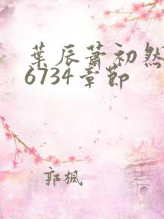 叶辰萧初然最新6734章节