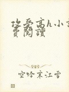 攻受高h小说免费阅读