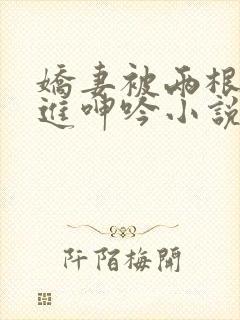 娇妻被两根一起进呻吟小说
