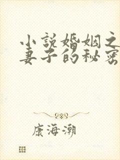 小说婚姻之殇:妻子的秘密免费阅读