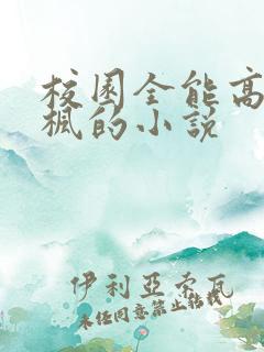 校园全能高手季枫的小说