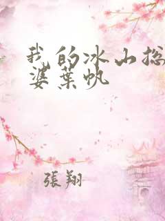 我的冰山总裁老婆叶帆