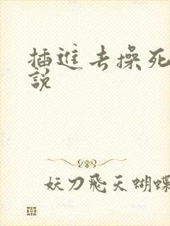 插进去操死你小说