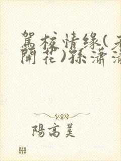 驾校情缘(老树开花)孙潇潇笔趣阁