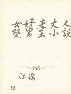 女婿老丈人相恋双男主小说