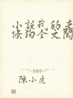 小说我的老公是条狗全文阅读免费