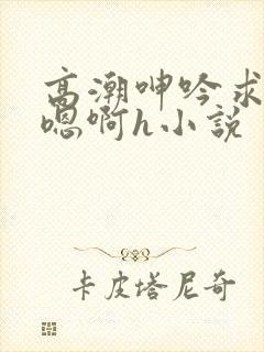 高潮呻吟求饶h嗯啊h小说