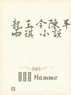 龙王令陈平,苏雨琪 小说