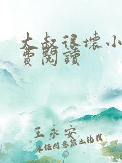 大叔很坏小说免费阅读