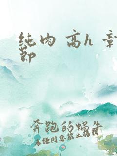 纯肉 高h 章节