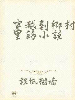 穿越到乡村爱情里的小说