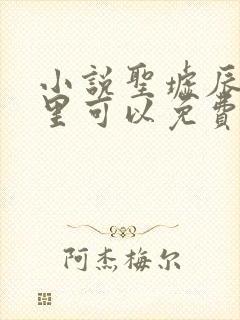 小说圣墟辰东哪里可以免费阅读