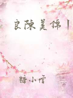 良陈美锦丨