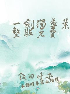 一剑独尊叶玄完整版免费