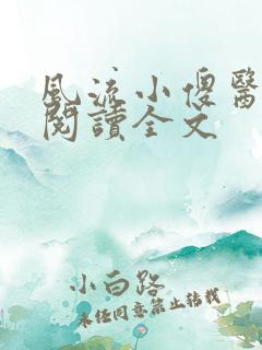 风流小傻医阅读阅读全文