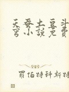 天蚕土豆斗破苍穹小说免费阅读