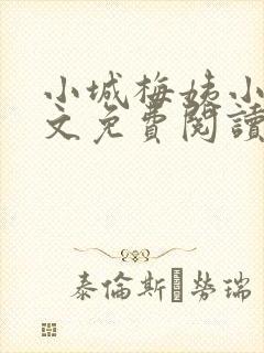 小城梅姨小说全文免费阅读