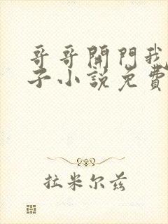 哥哥开门我是嫂子小说免费阅读