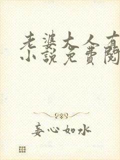 老婆大人有点拽小说免费阅读