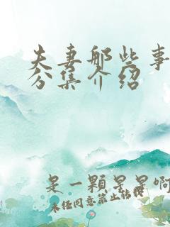 夫妻那些事剧情分集介绍