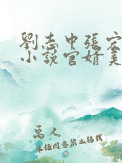 刘志中张宏阳的小说官婿美人香