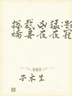 总裁凶猛:粉嫩娇妻夜夜宠 唐颖小