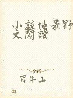 小说他最野了全文阅读