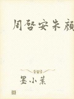 周启安朱颜小说