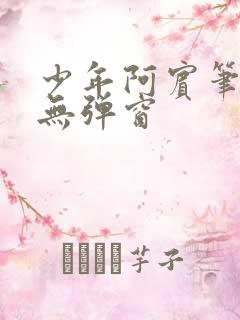 少年阿宾笔趣阁无弹窗