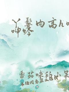 丫鬟肉高h喷汁呻吟