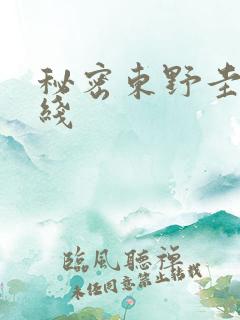 秘密东野圭吾在线