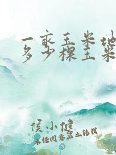 一亩玉米地能种多少棵玉米