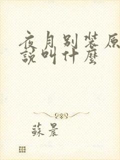 夜月别装原著小说叫什么