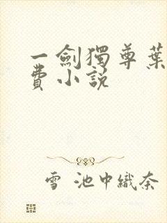 一剑独尊叶玄免费小说