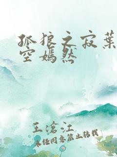 孤狼之寂叶凡司空嫣然
